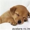 e si clanul ngen :rotfl: 
-n -paan

 :zzz:  :zzz:  :zzz:  :zzz: clanuri de cs 1.6